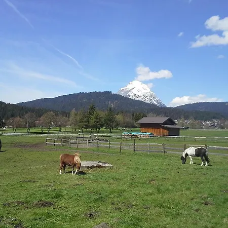Апартаменти Haus Foehrenwald Mundeblick *