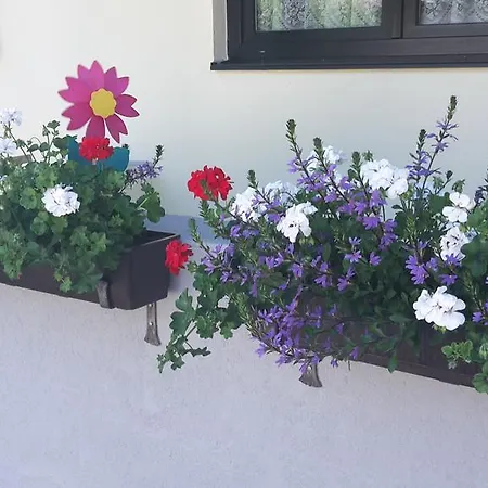 Апартаменти Haus Foehrenwald Mundeblick *