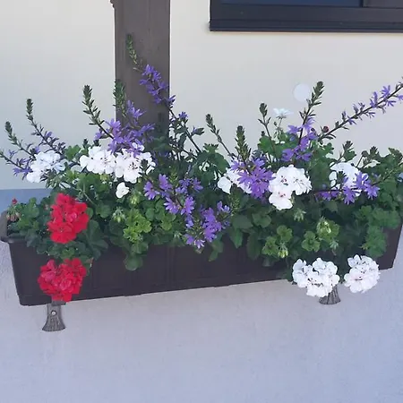 Haus Foehrenwald Mundeblick Зефельд-ін-Тіроль