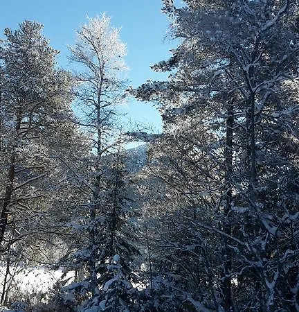 Haus Fohrenwald Ferienwohnung Mundeblick *