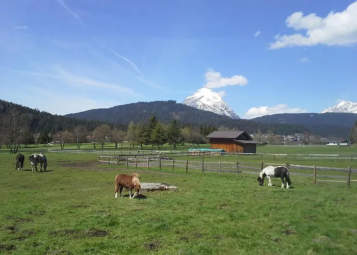 Апартаменты Haus Foehrenwald Mundeblick *