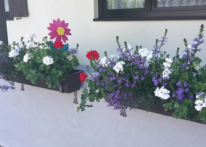 Апартаменты Haus Foehrenwald Mundeblick *