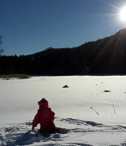 Haus Foehrenwald Mundeblick Апартаменты Зеефельд в Тироле