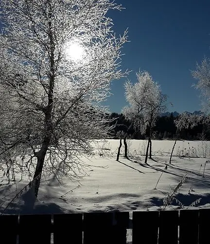 Haus Foehrenwald Mundeblick Апартаменты