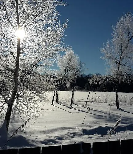 Апартаменты Haus Foehrenwald Mundeblick *