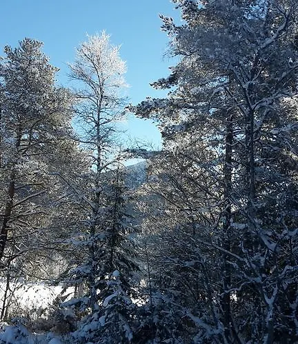 Haus Foehrenwald Mundeblick *